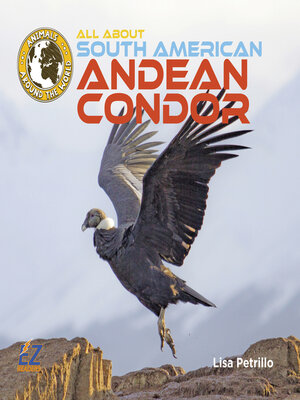 cover image of All About South American Andean Condors